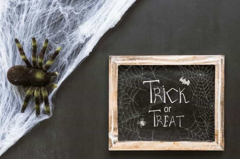 Tarantula Font Image 2