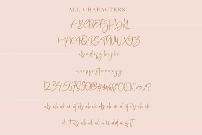 Hublland Script Font Image 3