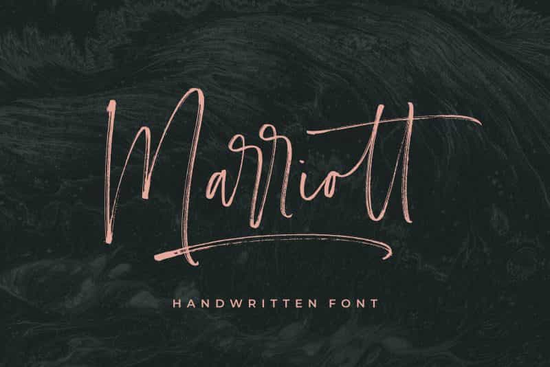Carlinet Handwritten Font Image 1