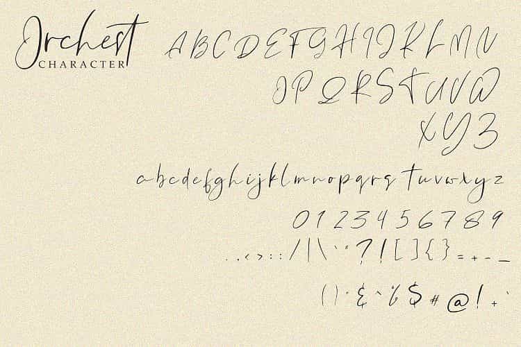 Orchest Script Font Image 3