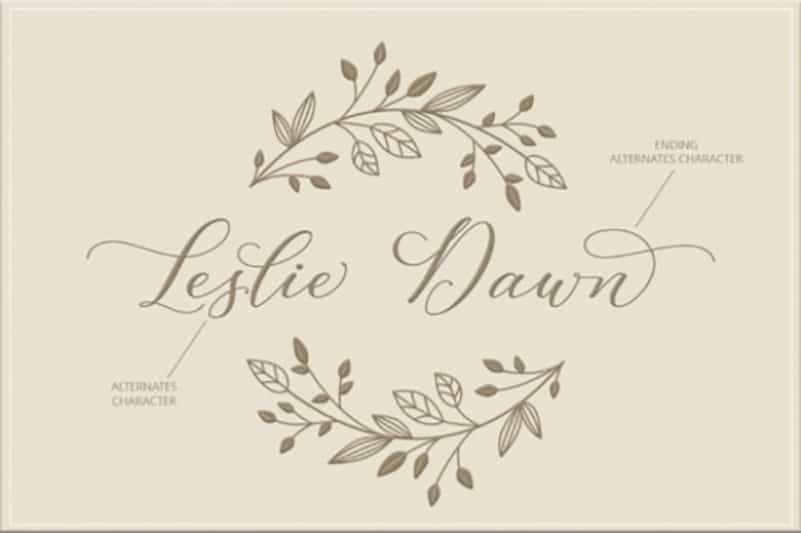 Leslie Dawn Calligraphy Font Image 3