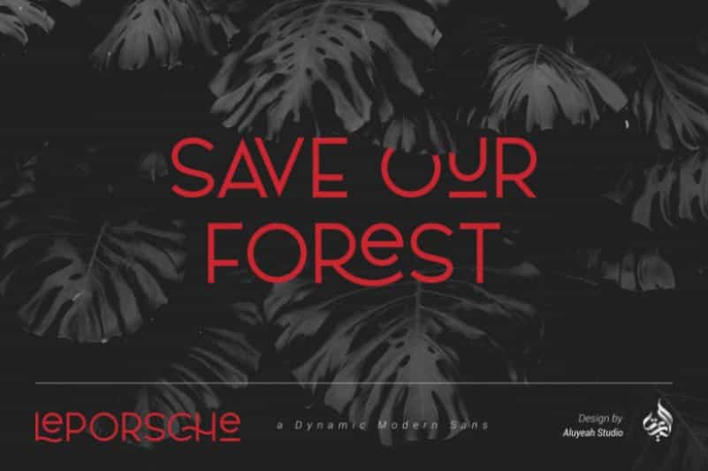 Le Porsche Sans Font Image 2