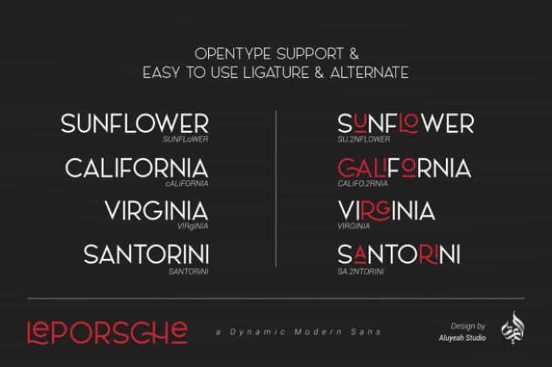 Le Porsche Sans Font Image 4