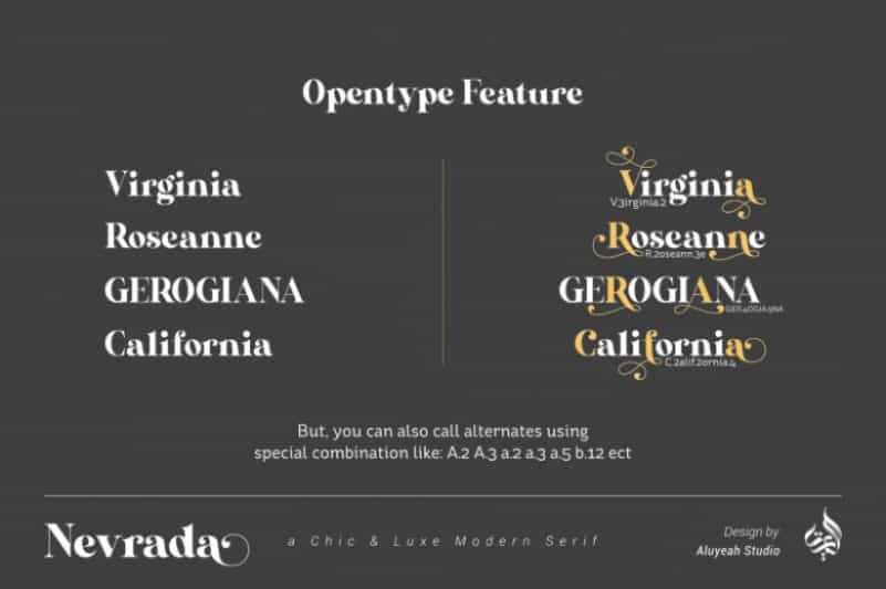 Nevrada Serif Font Image 3