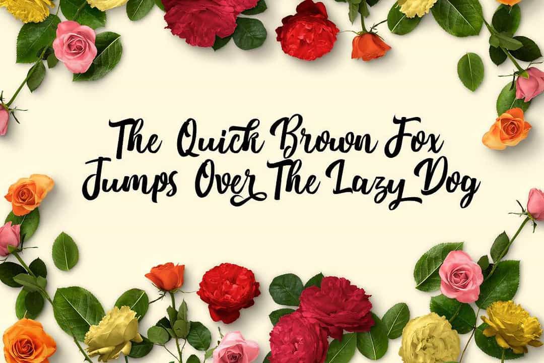 Nichole Script Font Image 1