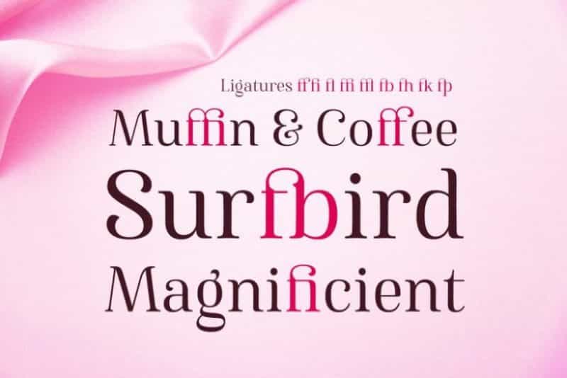Famosa Font Family Image 2