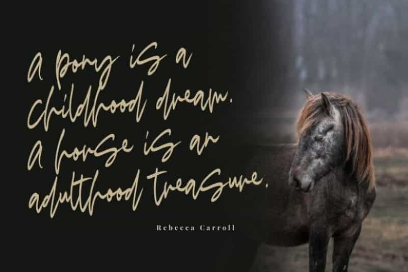Madigel Font Image 2