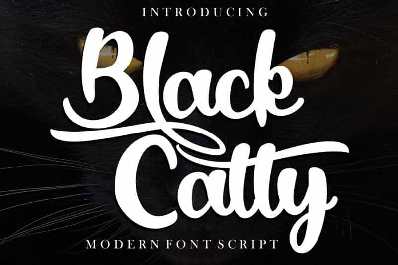 Black Catty Script Font Image 1