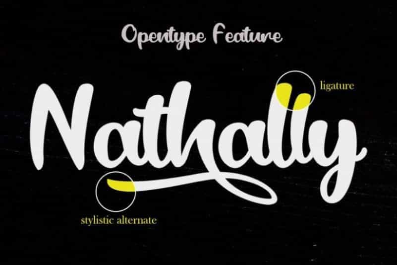 Black Catty Script Font Image 2