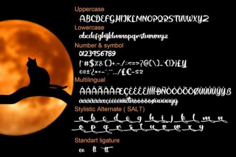 Black Catty Script Font Image 3