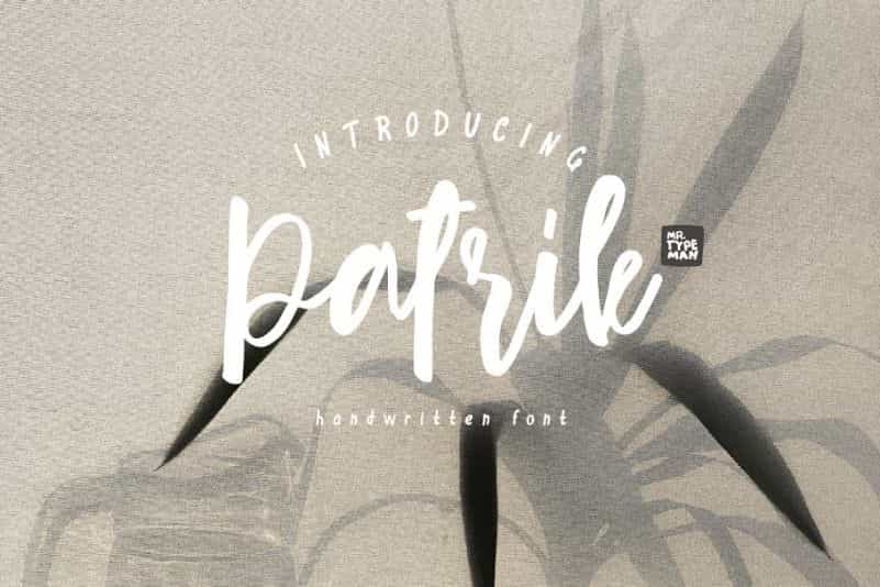 Patrik Script Font Image 1