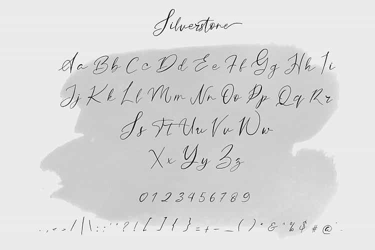 Silverstone Script Font Image 3