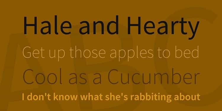 Source Sans Pro Font Family Image 2
