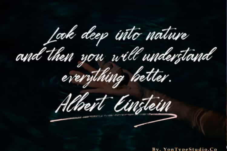 Zombiess Brush Font Image 3