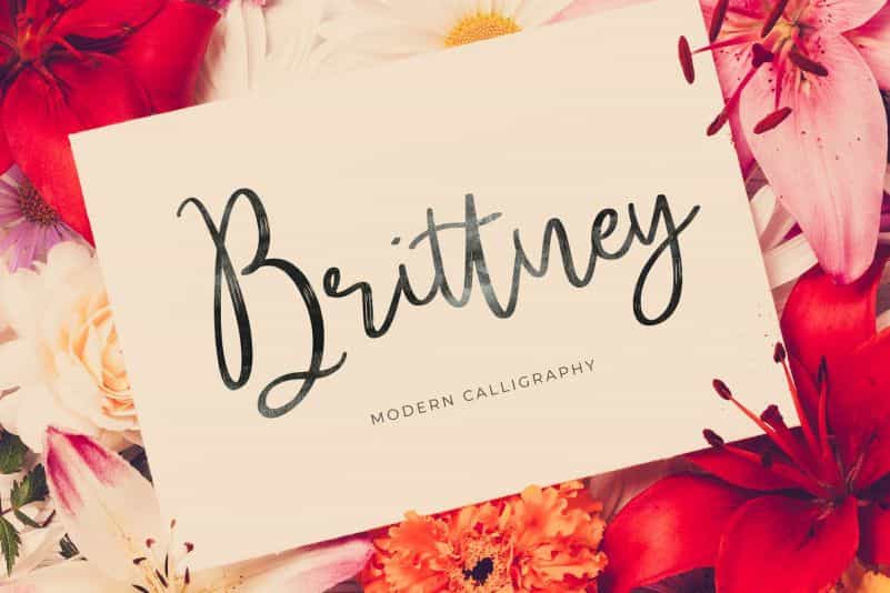 Brittney Script Font Image 1