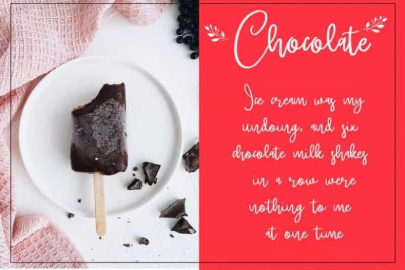 Brittney Script Font Image 3