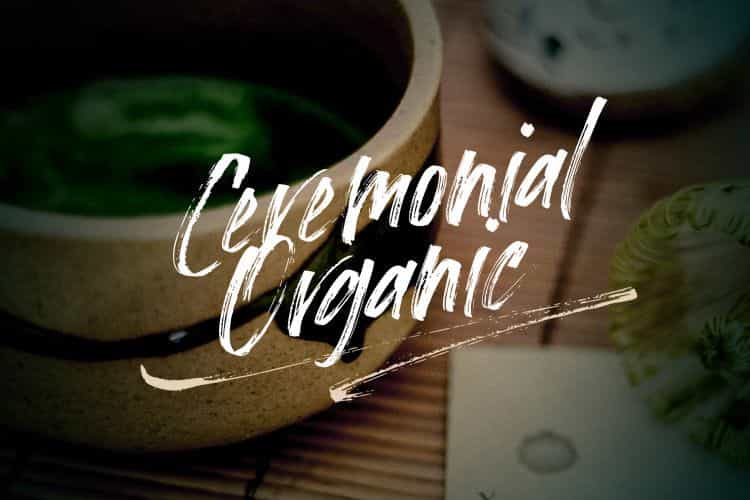 Loutters Brush Font Image 3