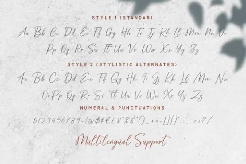 Golden Dream Script Font Image 4