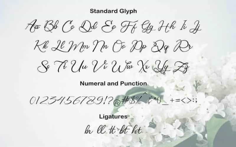 Bring Heart Script Font Image 2