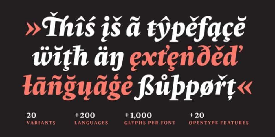 Radiata Serif Font Family Image 3