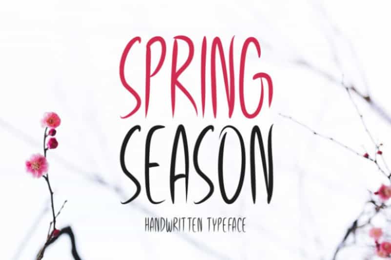 Spring Season Font Image 1