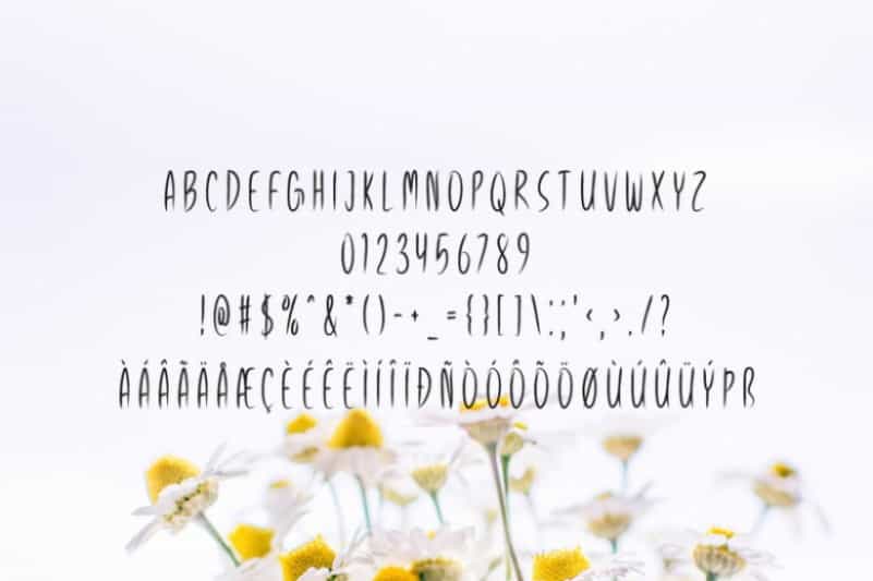 Spring Season Font Image 3