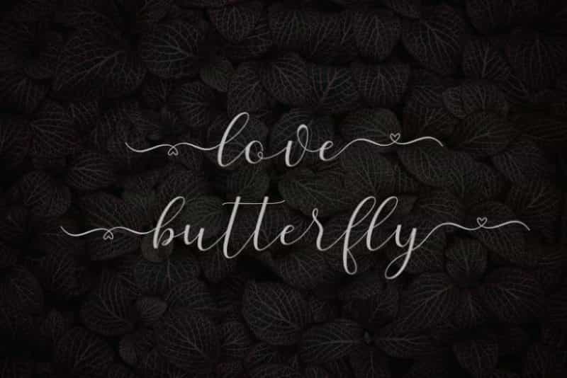 Alaycia Calligraphy Font Image 2