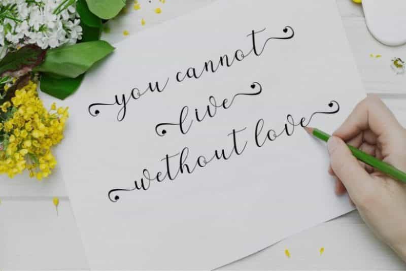 Alaycia Calligraphy Font Image 3