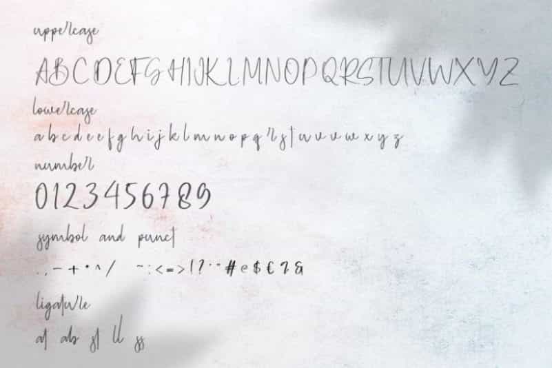 Geovanice Signature Font Image 3