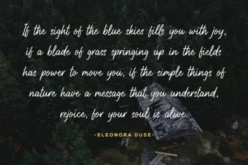 Highnorth Script Font Image 3
