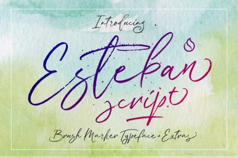 Esteban Script Font Image 1
