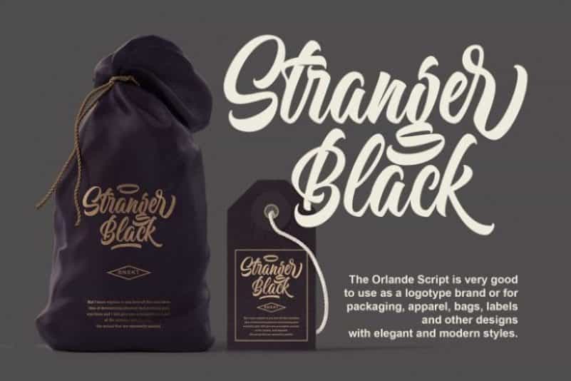 Orlande Script Font Image 2