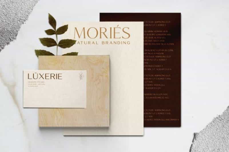 Mories Luxerie Font Duo Image 2