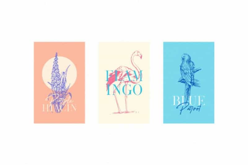 Melanic Black Font Duo Image 3
