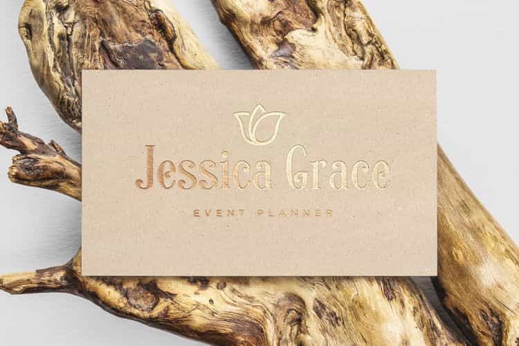 Sonia Serif Font Image 4