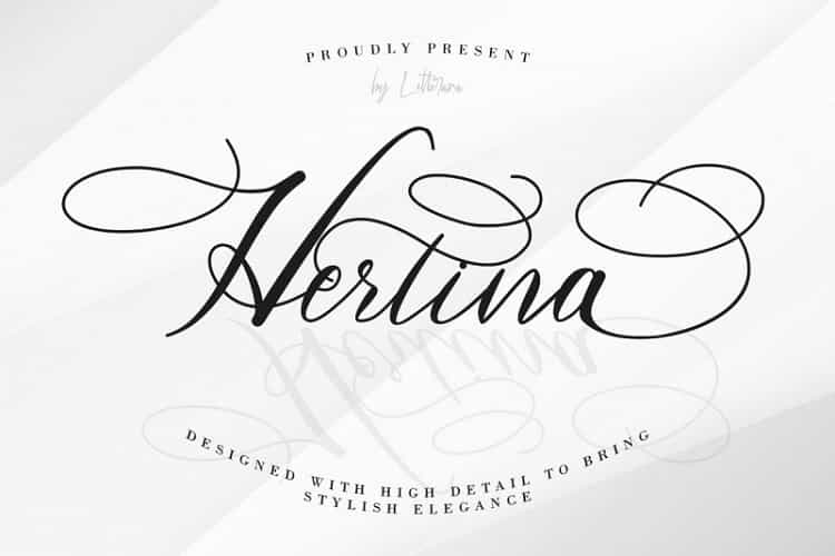 Hertina Calligraphy Font Image 1