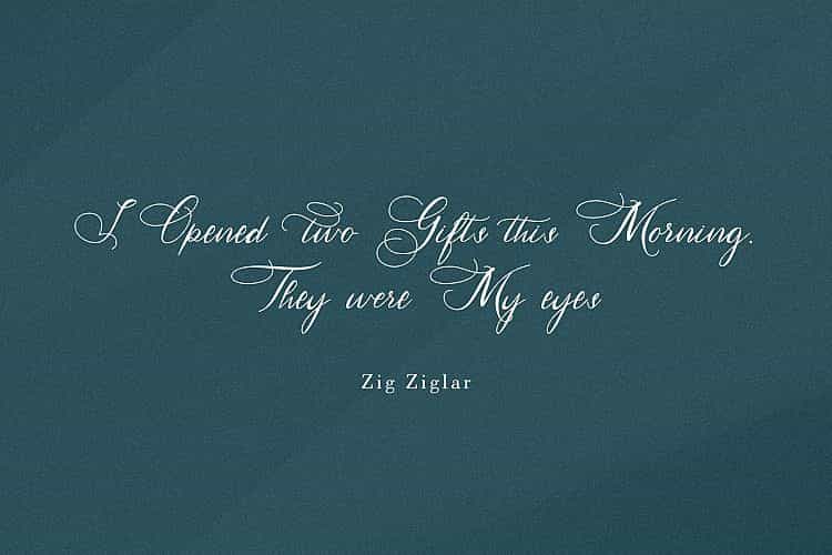 Hertina Calligraphy Font Image 2