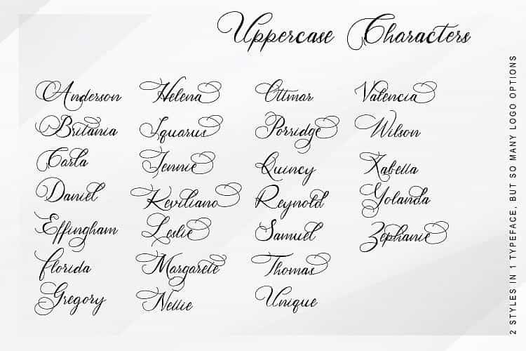 Hertina Calligraphy Font Image 3