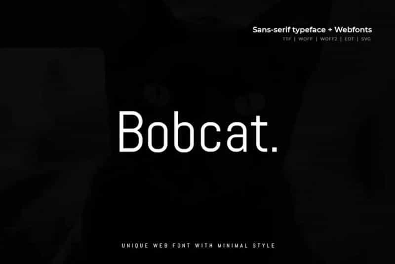 Bobcat Modern Typeface Image 1