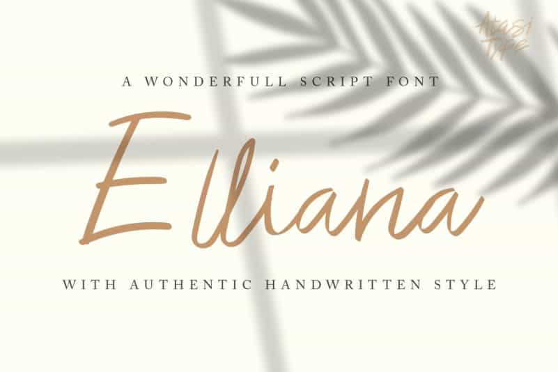 Elliana Font Image 1