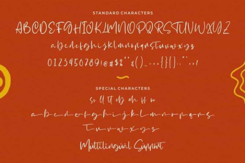 Signtype Script Font Image 3
