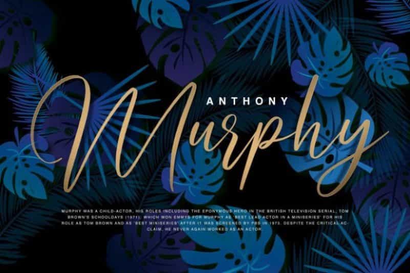 Arthemis Script Font Image 2