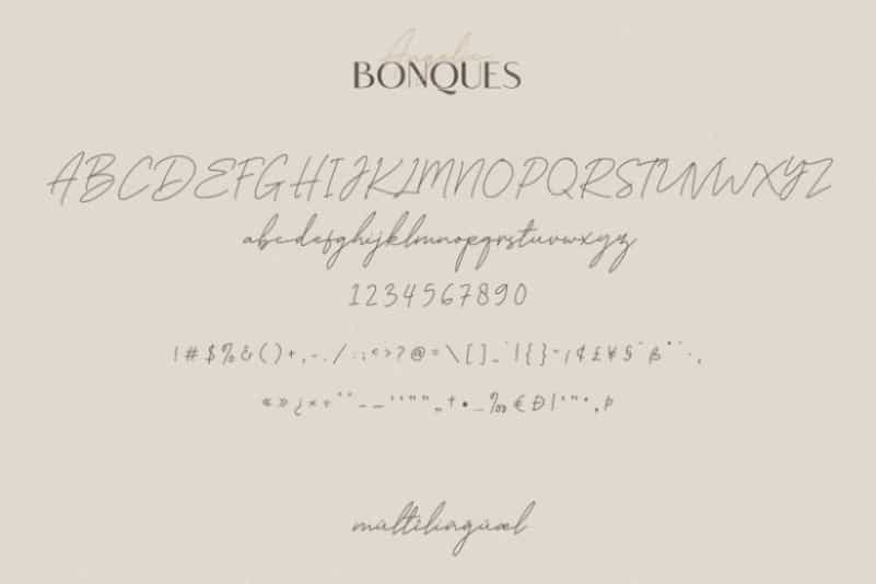 Angelic Bonques Font Duo Image 3
