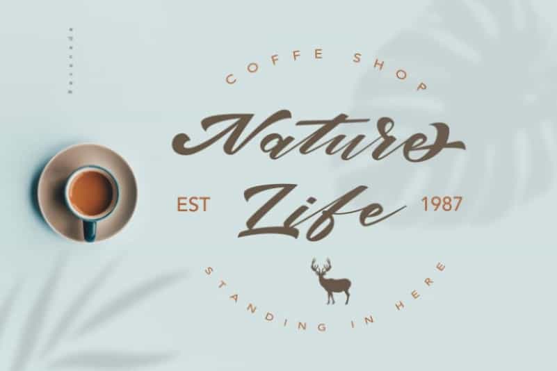 Bruke Script Font Image 2