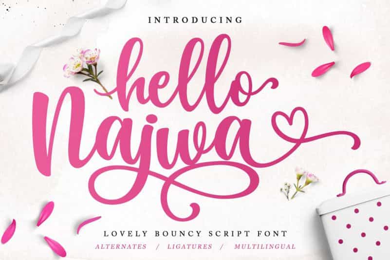 Hello Najwa Script Font Image 1