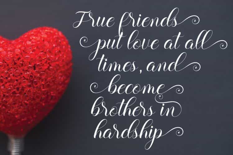 Balerina Script Font Image 2