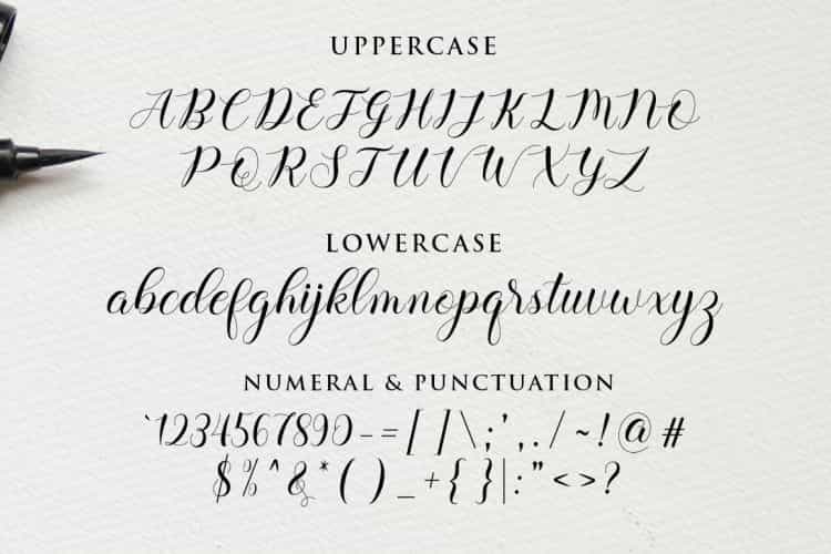 Balerina Script Font Image 3