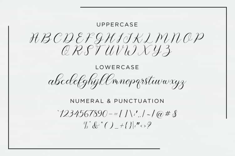 Alyana Script Font Image 3