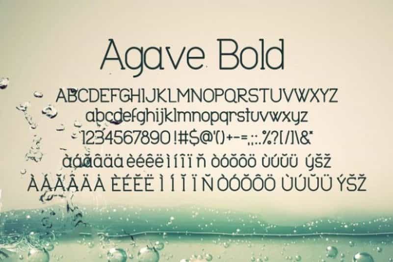Agave Font Image 3