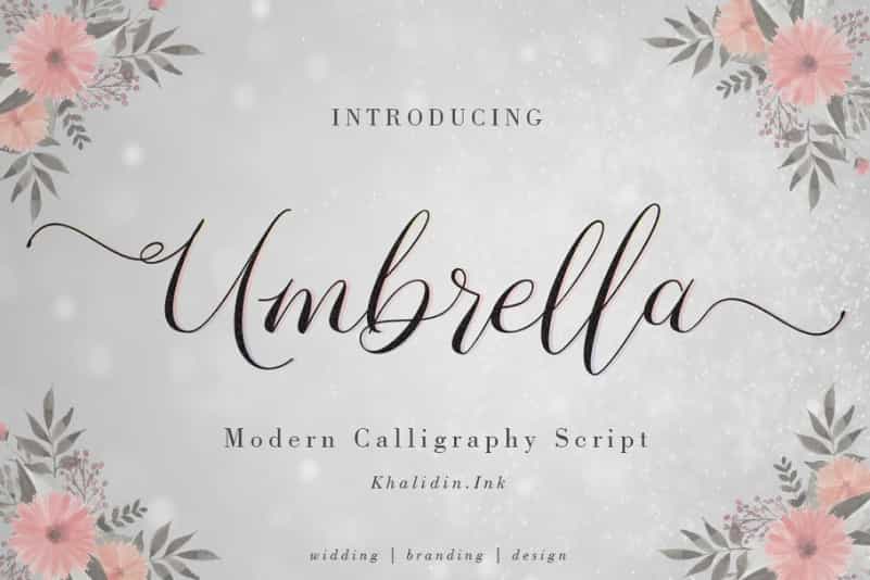 Umbrella Script Font Image 1